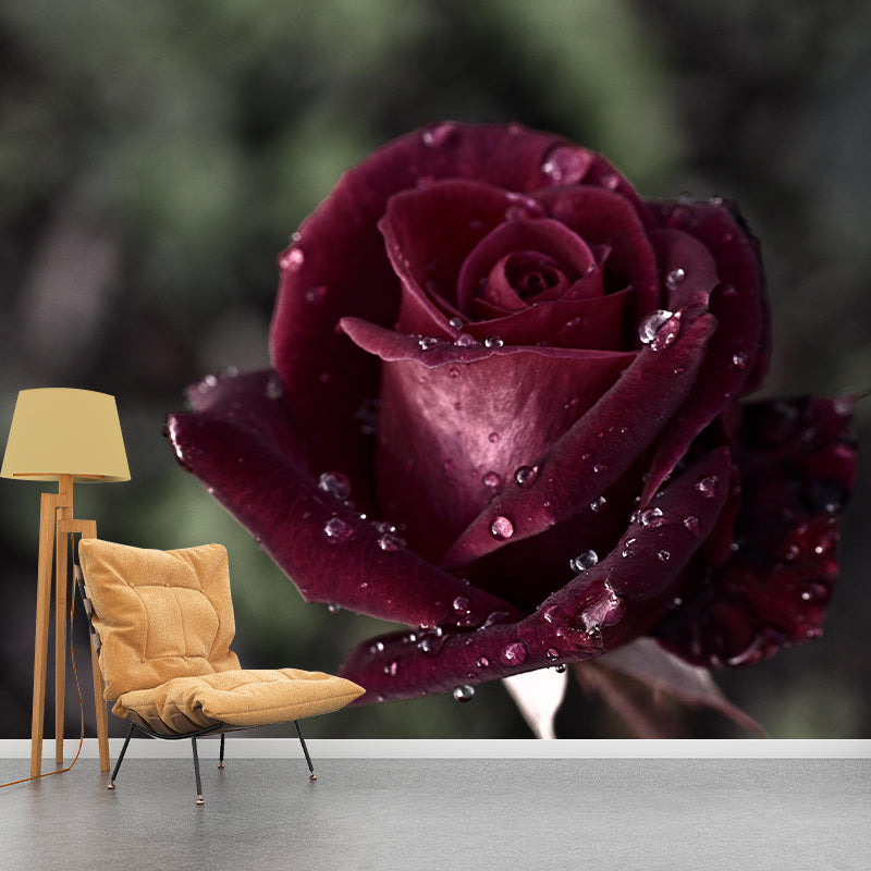 Rose Mural Wall Covering Close-Up Photography Decorative Mildew Resistant Wallpaper