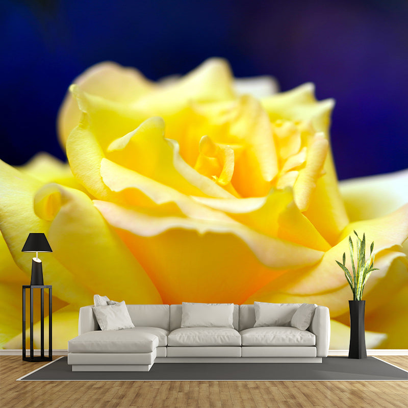 Rose Mural Wall Covering Close-Up Photography Decorative Mildew Resistant Wallpaper