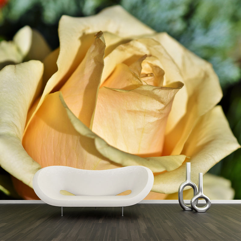 Rose Mural Wall Covering Close-Up Photography Decorative Mildew Resistant Wallpaper