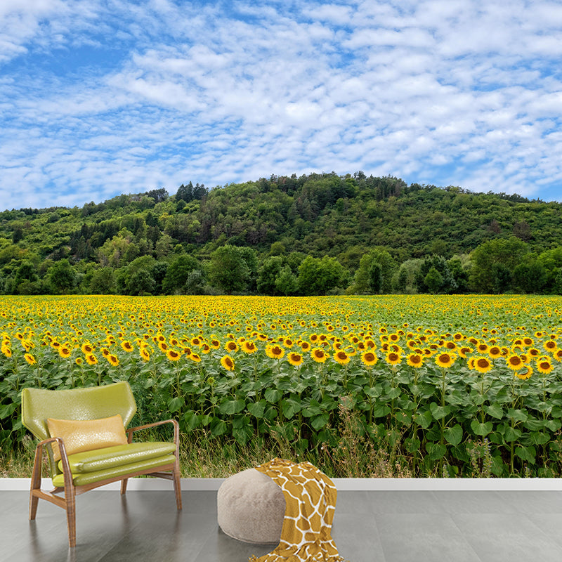 Sunflower Field Mural Wall Covering for Living Room Decorative Mildew Resistant Wallpaper