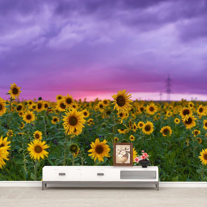 Sunflower Field Mural Wall Covering for Living Room Decorative Mildew Resistant Wallpaper