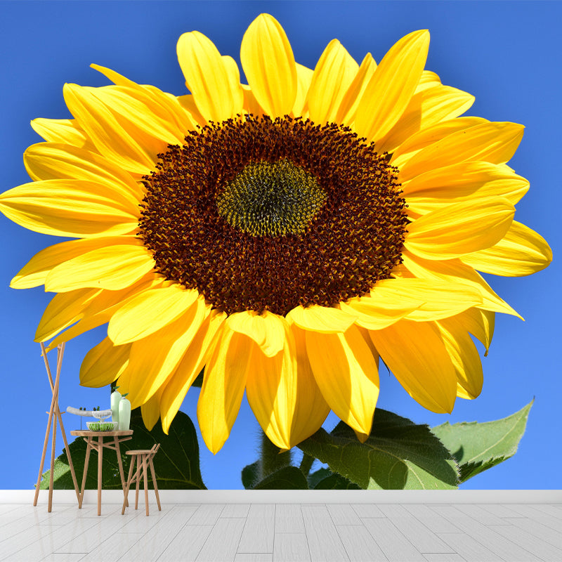 Sunflower Mural Wall Covering for Living Room Decorative Mildew Resistant Wallpaper