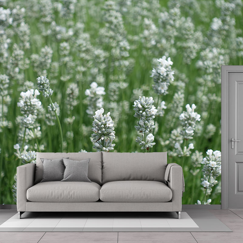 Lavender Mural Wall Covering for Living Room Decorative Mildew Resistant Wallpaper