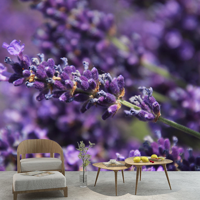 Lavender Mural Wall Covering for Living Room Decorative Mildew Resistant Wallpaper
