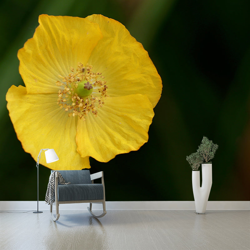 Beautiful Flower Mural Wallpaper Mildew Resistant for Living Room Decor