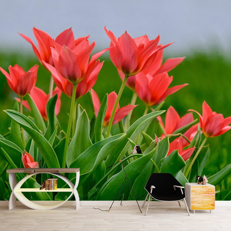 Beautiful Tulips Mural Wallpaper Mildew Resistant for Living Room Decor