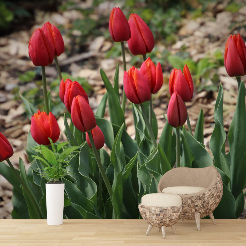 Beautiful Tulips Mural Wallpaper Mildew Resistant for Living Room Decor