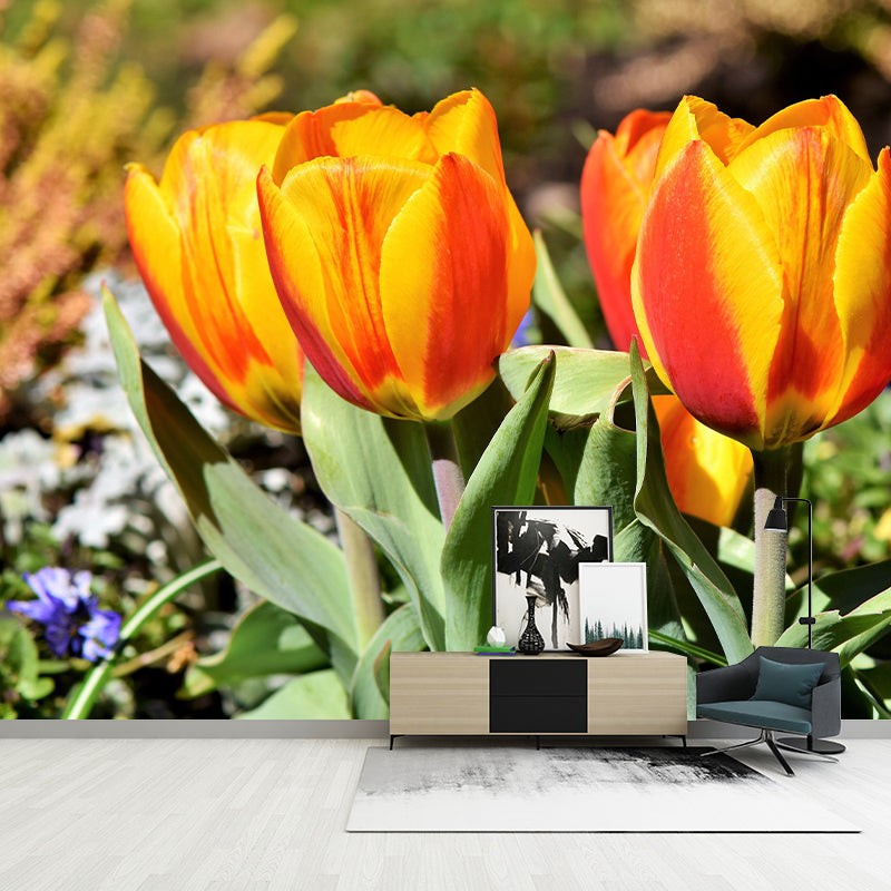 Beautiful Tulips Mural Wallpaper Mildew Resistant for Living Room Decor