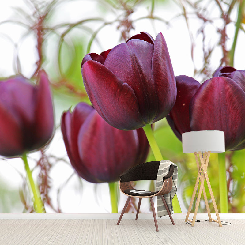 Beautiful Tulips Mural Wallpaper Mildew Resistant for Living Room Decor