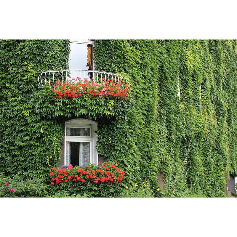 Customized Ivy Wall Mural Eco-friendly Stain Resistant for Living Room Decor