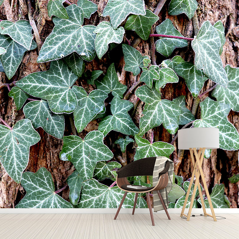 Customized Ivy Wall Mural Eco-friendly Stain Resistant for Living Room Decor