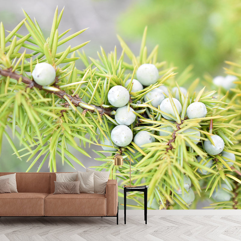 Customized Juniper Wall Mural Stain Resistant Eco-friendly Wallpaper for Living Room