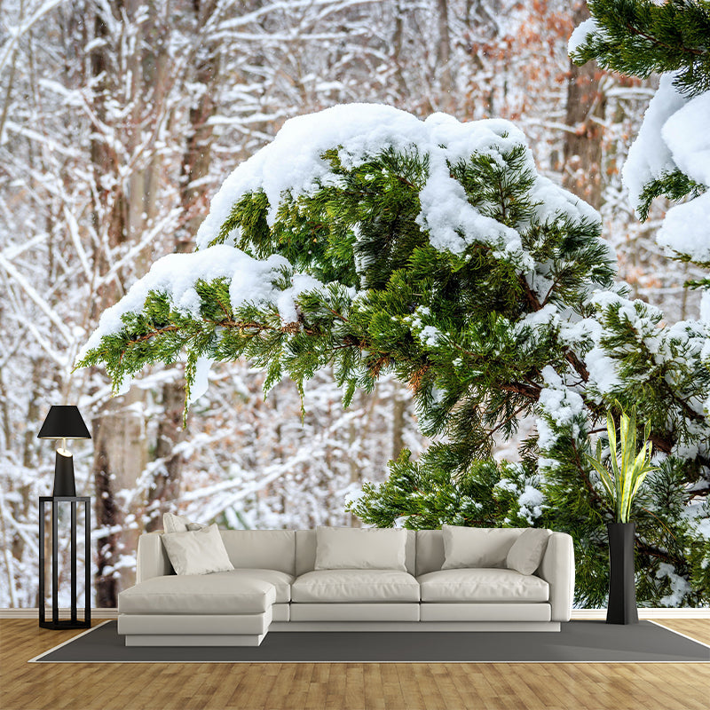 Customized Juniper Wall Mural Stain Resistant Eco-friendly Wallpaper for Living Room