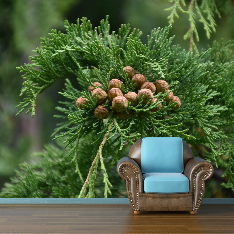 Customized Juniper Wall Mural Stain Resistant Eco-friendly Wallpaper for Living Room