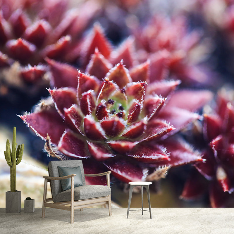 Customized Succulents Wall Mural Stain Resistant for Living Room Decor