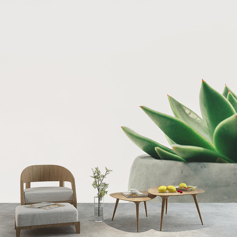 Customized Succulents Wall Mural Stain Resistant for Living Room Decor