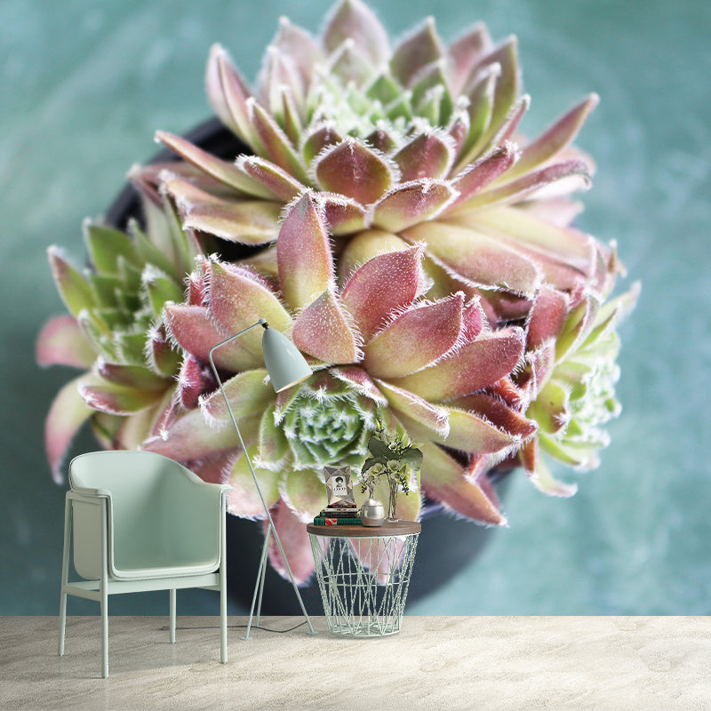 Customized Succulents Wall Mural Stain Resistant for Living Room Decor