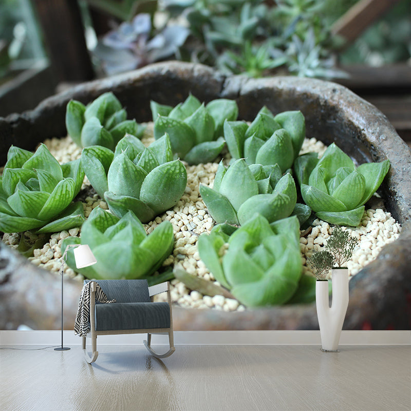 Customized Succulents Wall Mural Stain Resistant for Living Room Decor