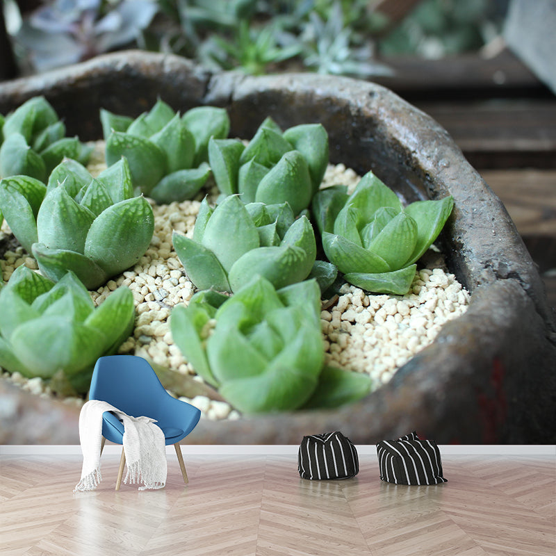 Customized Succulents Wall Mural Stain Resistant for Living Room Decor