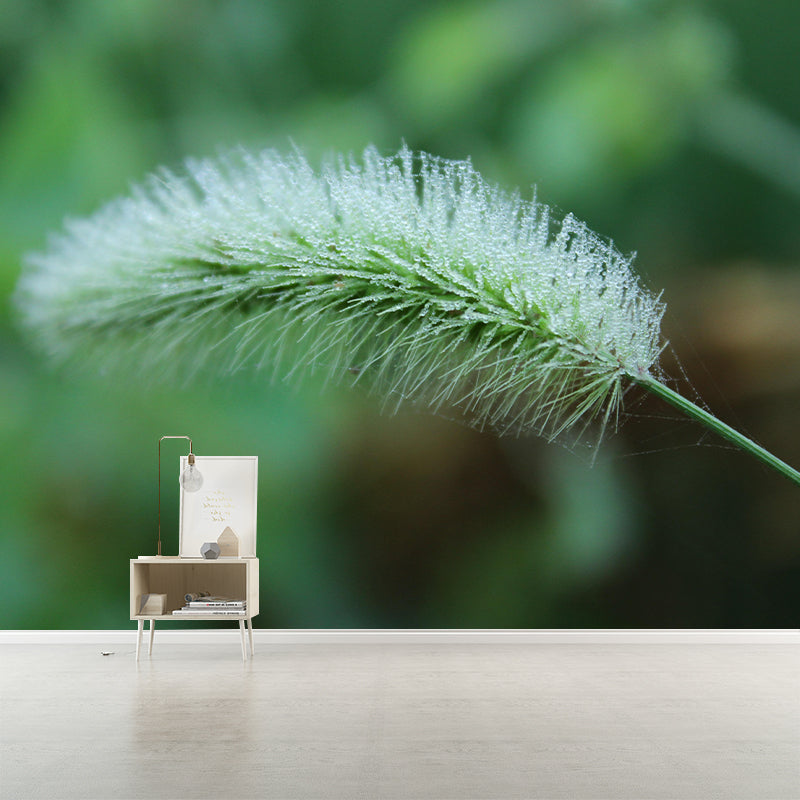 Customized Dogs Tail Grass Wall Mural Stain Resistant for Living Room Decor