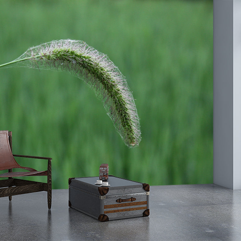 Customized Dogs Tail Grass Wall Mural Stain Resistant for Living Room Decor