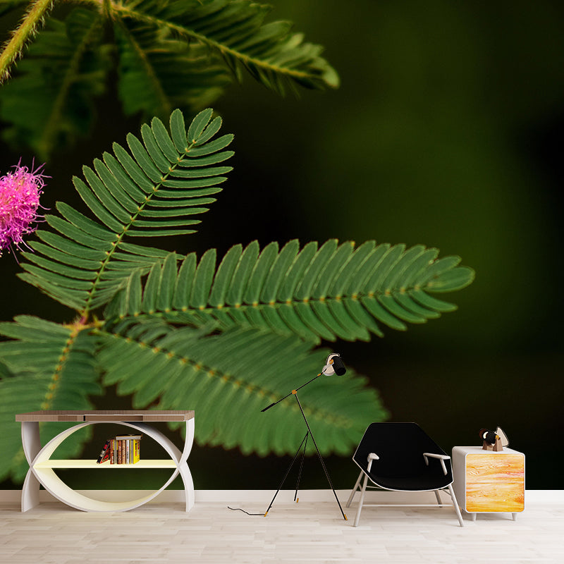 Customized Mimosa Plant Wall Mural Stain Resistant for Living Room Decor