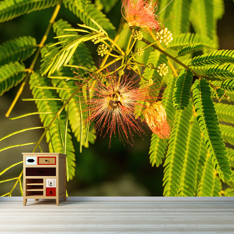 Customized Mimosa Plant Wall Mural Stain Resistant for Living Room Decor