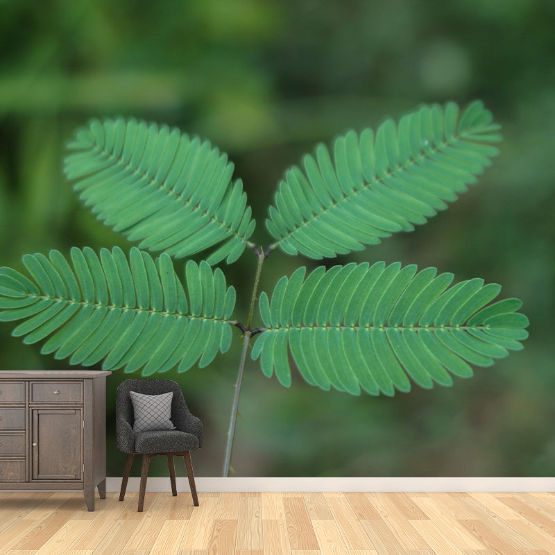 Customized Mimosa Plant Wall Mural Stain Resistant for Living Room Decor