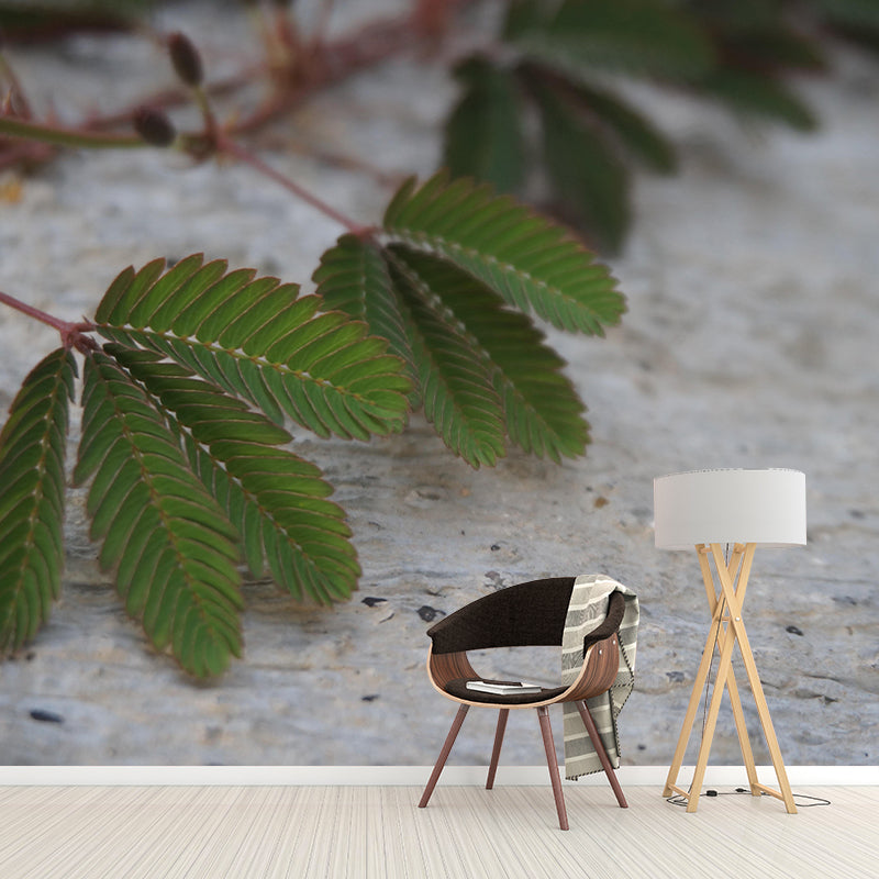 Customized Mimosa Plant Wall Mural Stain Resistant for Living Room Decor