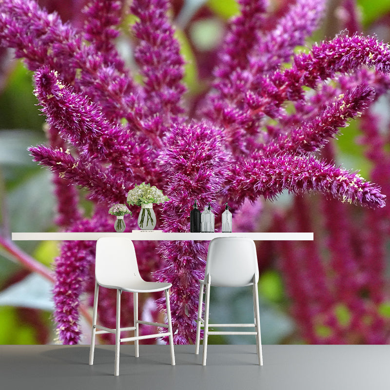 Foxtail Plant Mural Wallpaper Eco-friendly Moisture Resistant for Bedroom Decor