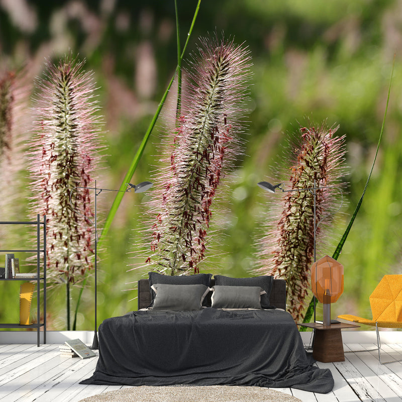 Foxtail Plant Mural Wallpaper Eco-friendly Moisture Resistant for Bedroom Decor