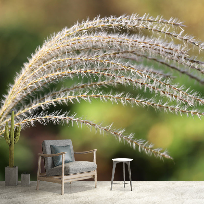 Customized Reed Grass Wall Mural Stain Resistant for Living Room Decor