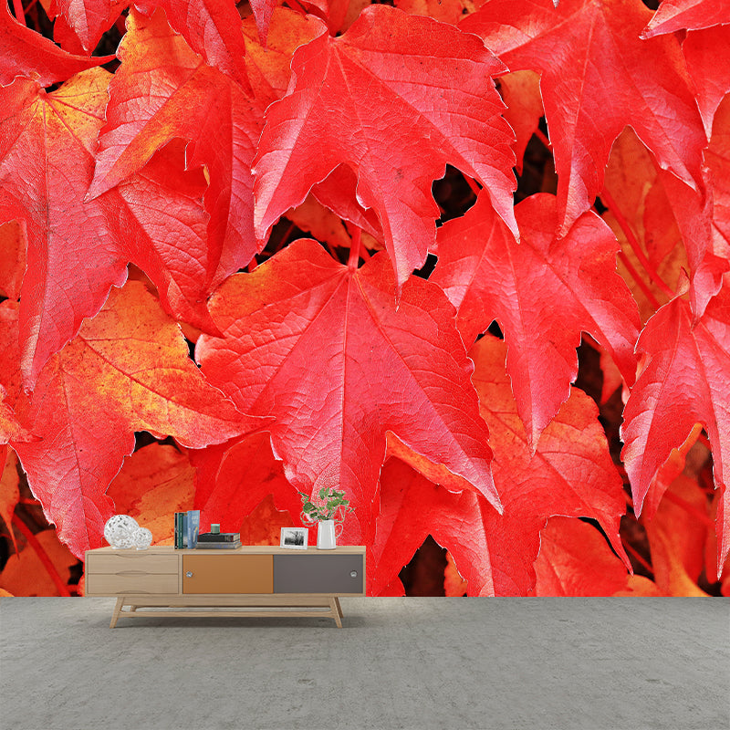 Wild Grape Leaves Mural Wallpaper Eco-friendly Moisture Resistant for Bedroom