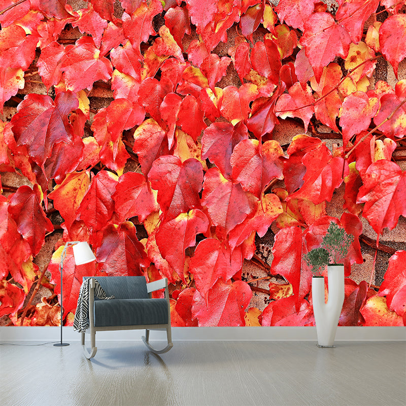 Wild Grape Leaves Mural Wallpaper Eco-friendly Moisture Resistant for Bedroom