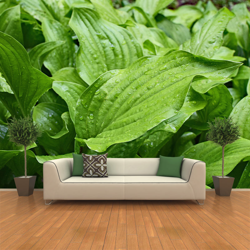Customized Hosta Leaf Wall Mural Stain Resistant for Living Room Decor