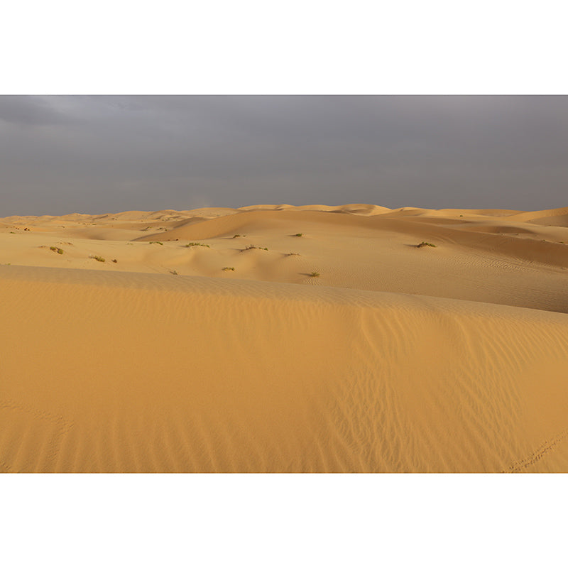 Desolate Desert Mural Wallpaper Home Decor Moisture Resistant for Sitting Room