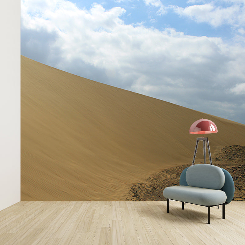Desert Mural Decal Stain Resistant Living Room Wall Decor, Made to Measure
