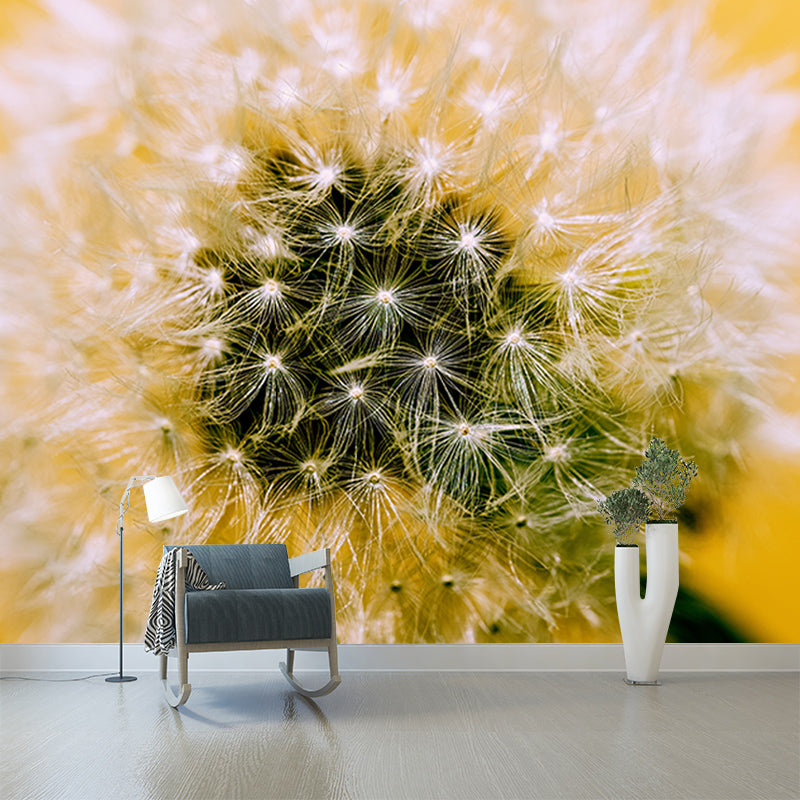 White Dandelion Mural Wallpaper Stain Resistant Modern Interior Decoration