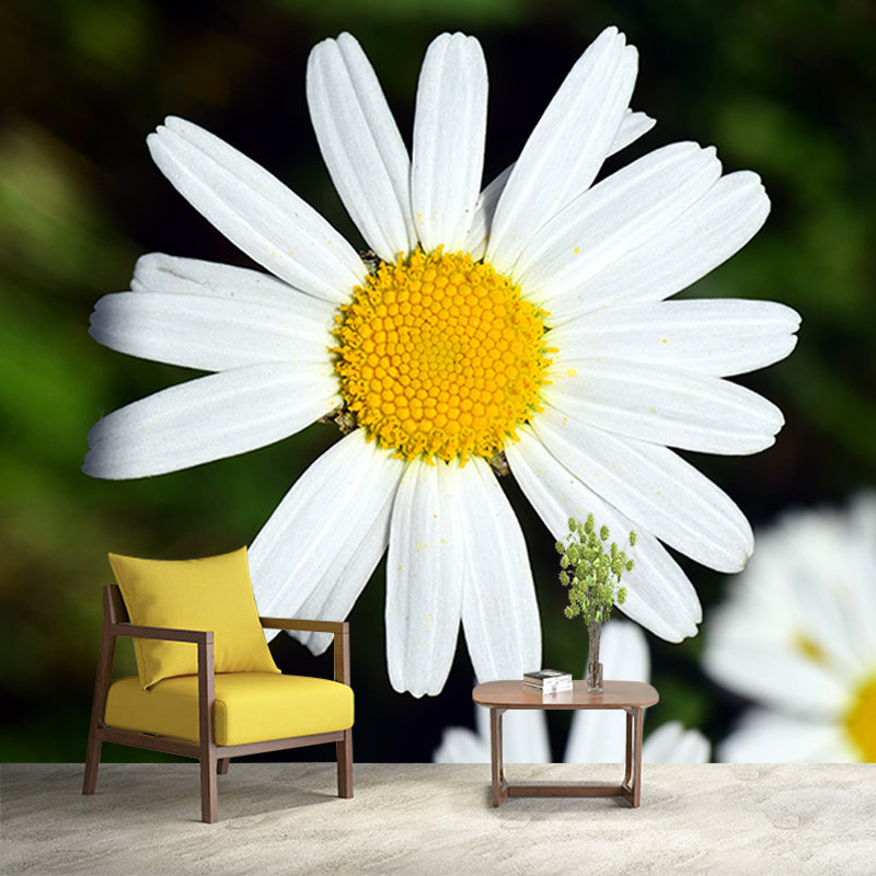 Marguerite Flower Wall Mural for Sleeping Room Decoration, Custom Size Available