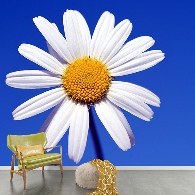 Marguerite Flower Wall Mural for Sleeping Room Decoration, Custom Size Available