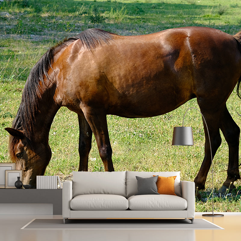 Horse Wall Mural Decal Moisture Resistant Modern Living Room Wall Covering