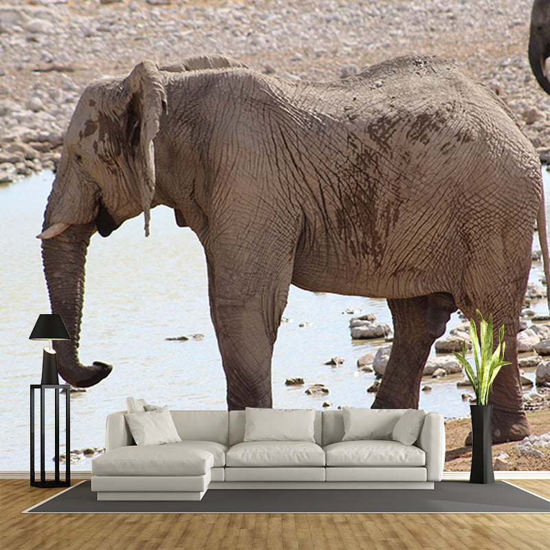 Elephant Mural Wallpaper Meeting Room Living Room Home Decor, Custom Size Available