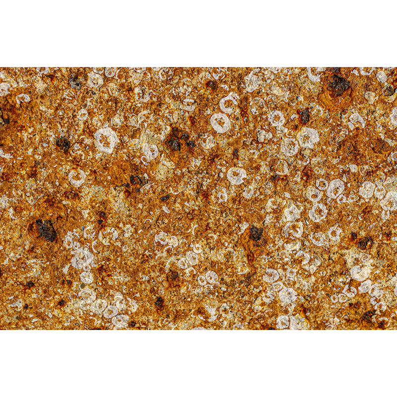 Rusted Steel Mural Decal Industrial Style Wall Covering for Living Room