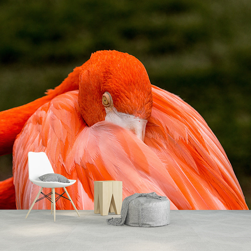 Tropical Flamingo Wall Mural Moisture Resistant Wall Covering for Living Room, Customised