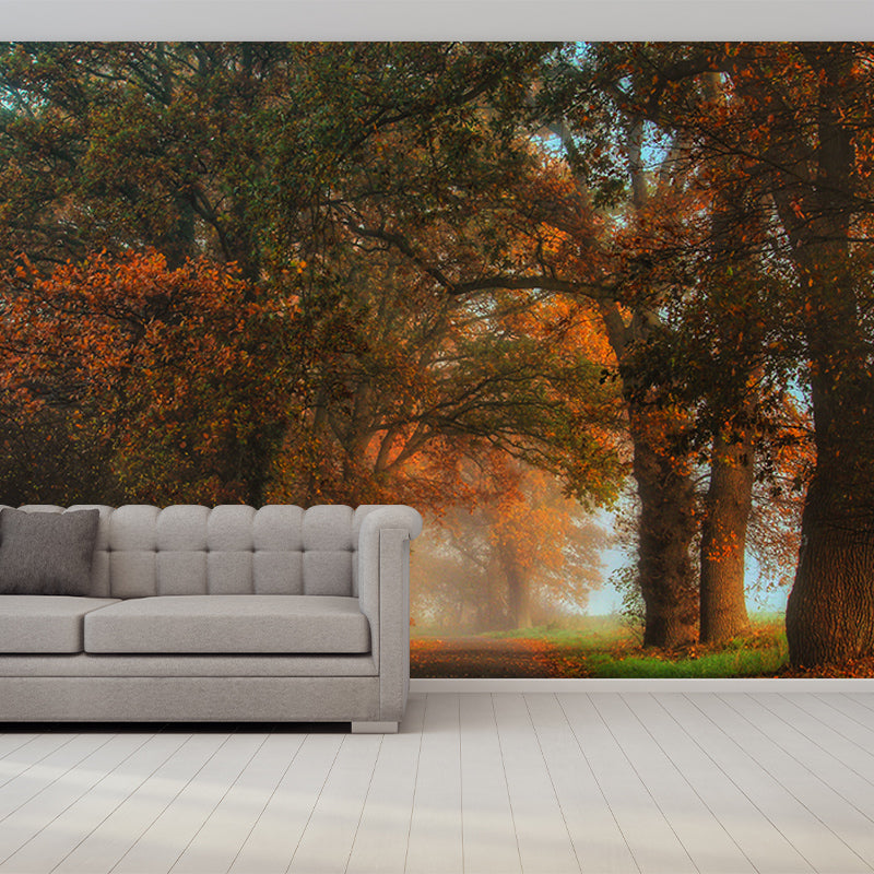 Autumn Forest Mural Wallpaper Stain Resistant for Living Room, Custom Size Available