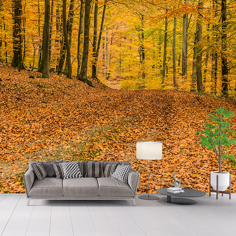 Autumn Forest Mural Wallpaper Stain Resistant for Living Room, Custom Size Available