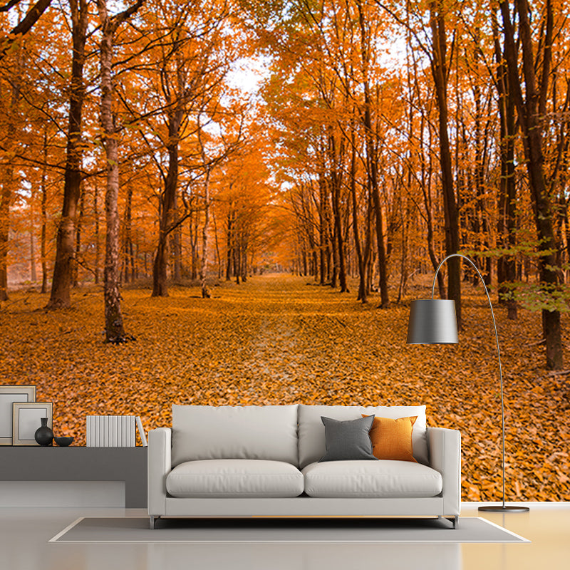 Autumn Forest Mural Wallpaper Stain Resistant for Living Room, Custom Size Available