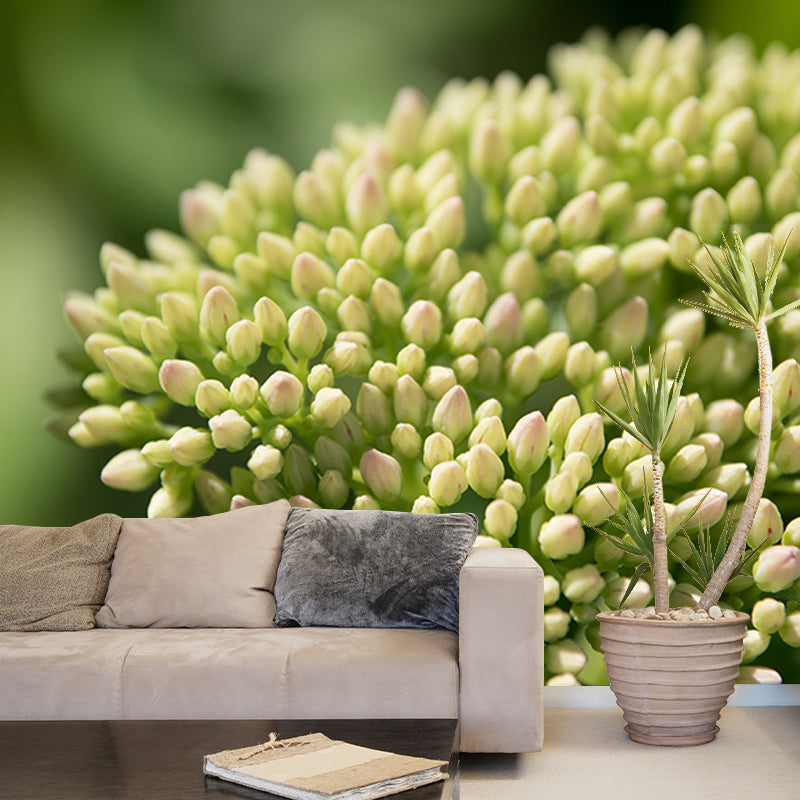 Green Plants Mural Wallpaper for Reading Room Waterproofing, Custom Size Available