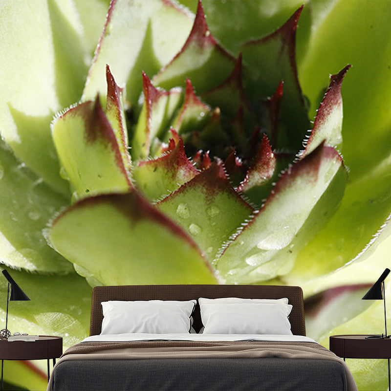 Green Plants Mural Wallpaper for Reading Room Waterproofing, Custom Size Available