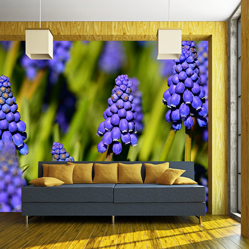 Hyacinth Mural Wallpaper Moisture Resistant Home Decor for Sitting Room